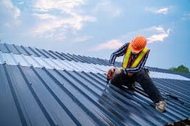 Best Roof Maintenance and Cleaning  in Pender, NE